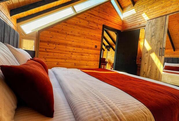 Luna Home Club - Görsel 3