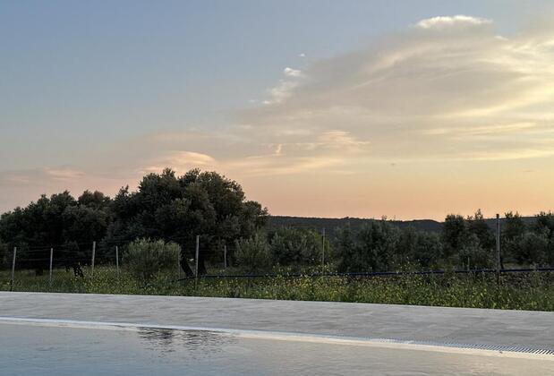 Zeytince Doğa Evi - Görsel 11