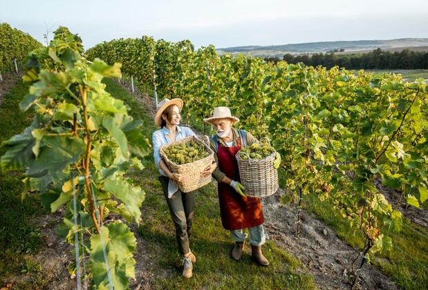 Tekirdağ'da Görülmesi Gereken 6 Yer! Doğası, Tarihi ve Lezzetleriyle Bir Trakya Rüyası!