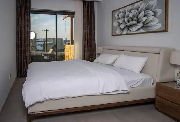 Mykonos Holiday Homes - Görsel 14