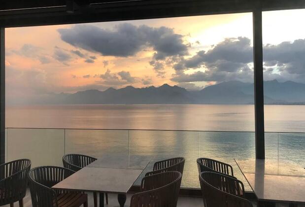 Perge Pine Green - Görsel 19