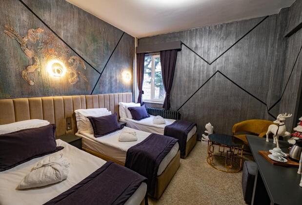 Parnassius Hotel - Görsel 13