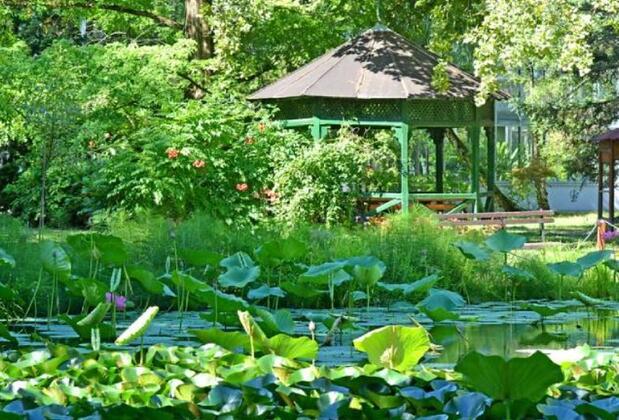 İzmir'de Çok Bilinmeyen Bir Botanik Bahçesi: Dikili Atatürk Botanik Bahçesi