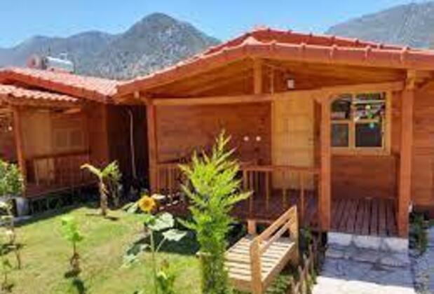 Begonvilla Butik - Görsel 2