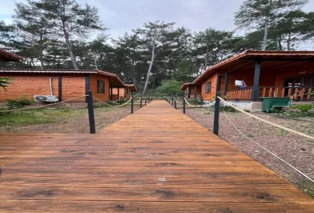 Eylül Pansiyon Olimpos - Görsel 3