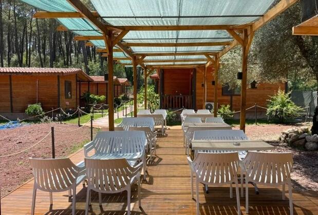 Eylül Pansiyon Olimpos - Görsel 9