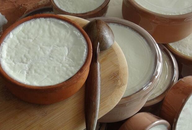 AB'den Coğrafi İşaret Alan Silifke Yoğurdu'nun Peşinde...