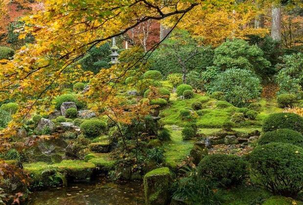 Türkiye'nin En Büyük Japon Bahçesi: Konya Kyoto Japon Bahçesi