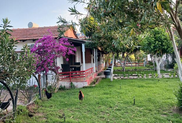 Valentina Doğa Evleri - Görsel 13