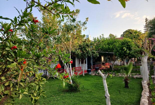 Valentina Doğa Evleri - Görsel 14