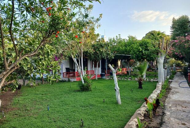 Valentina Doğa Evleri - Görsel 20