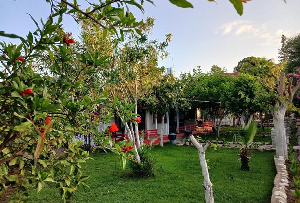 Valentina Doğa Evleri - Görsel 24