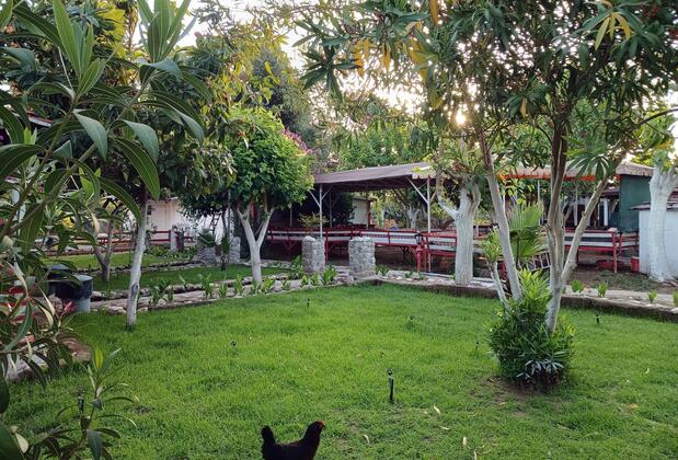 Valentina Doğa Evleri - Görsel 33