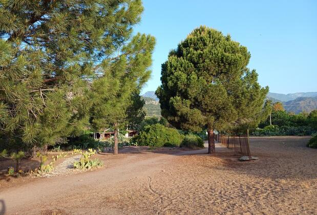 Valentina Doğa Evleri - Görsel 38