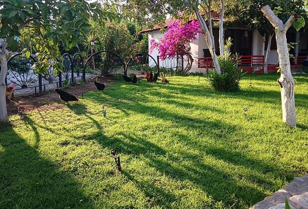 Valentina Doğa Evleri - Görsel 42