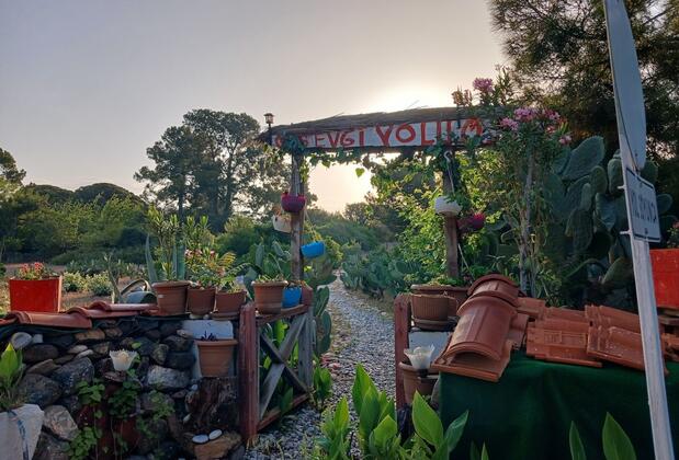 Valentina Doğa Evleri - Görsel 32