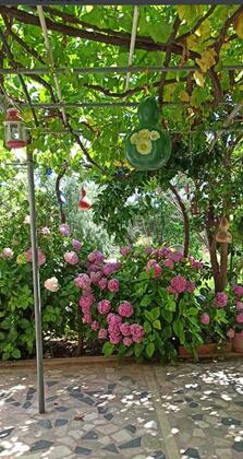 Çanakkale Gökçeada Çetinler Pansiyon - Görsel 32