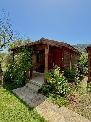 Sempati Ağaç Evler - Görsel 3