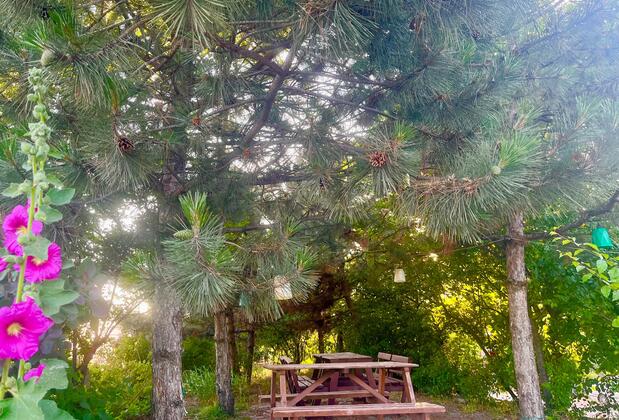 Bolu Otel - Görsel 21