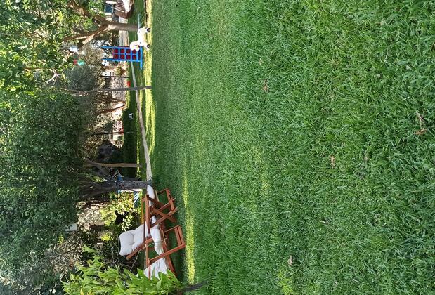 Sempati Ağaç Evler - Görsel 28