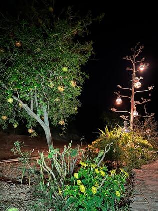 Mazı Cansu Apart - Görsel 33