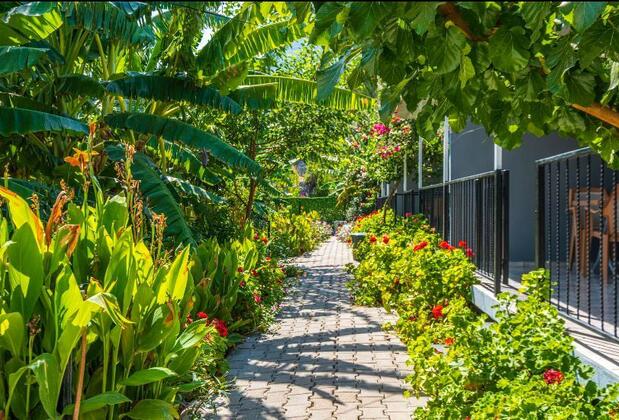 Adrasan Vadi Pansiyon - Görsel 11